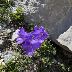 Explor'nature 2026 Allos